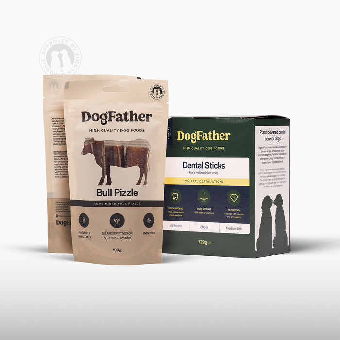 Dog Dental Kit