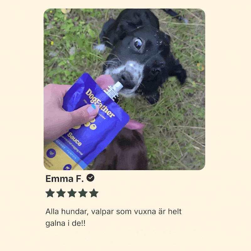 Hundsås 6-Pack