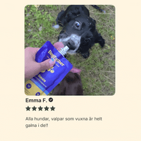 Hundsås 6-Pack