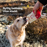 Hundsås 6-Pack