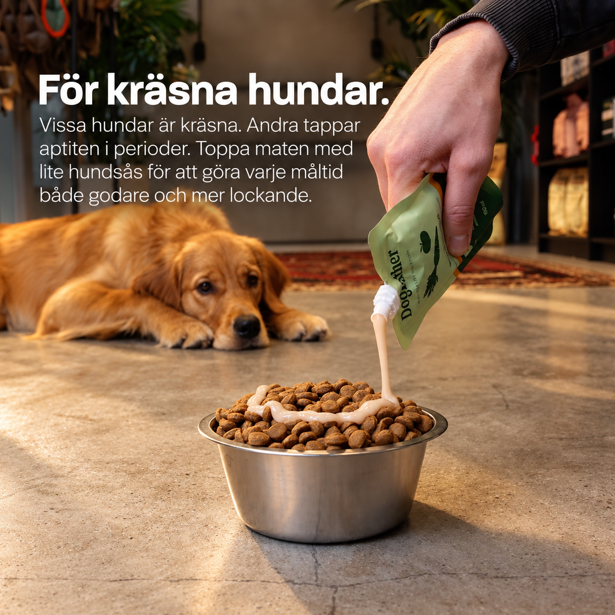 Hundsås 6-Pack