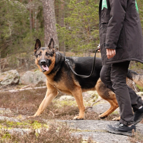 A woman in a black winter jacket and black pants stands outdoors on a rocky path with a German Shepherd dog on a leash. The background shows a forest with trees and rocks.